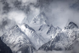 New Zealand 2025 (1 group) (8/66)